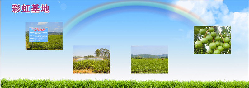 信暢堅果彩虹基地